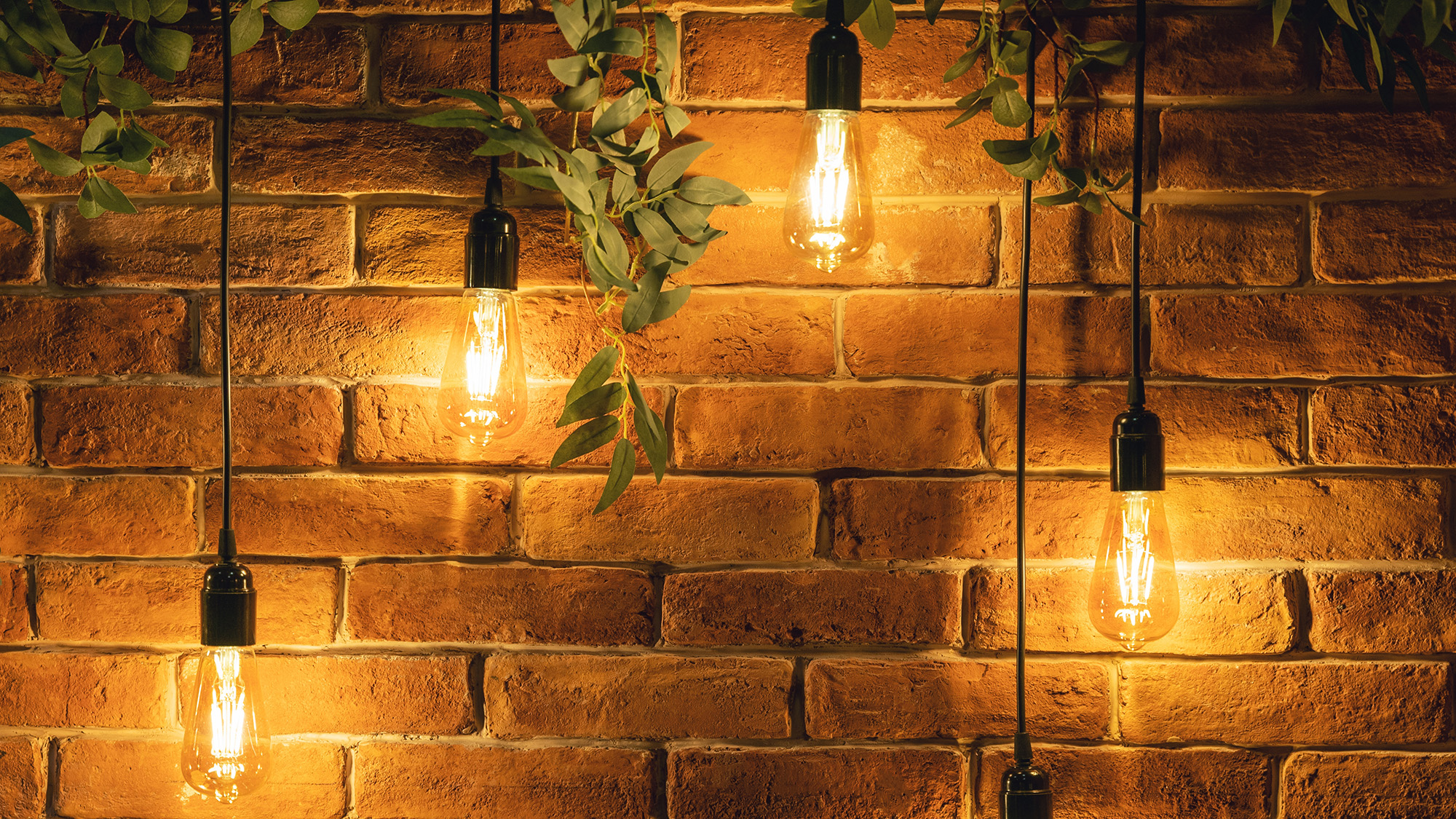 vintage edison bulbs